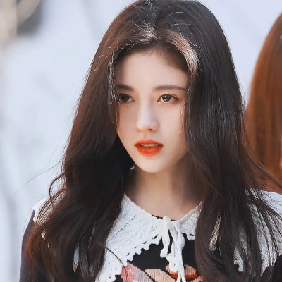 蜗牛参议员