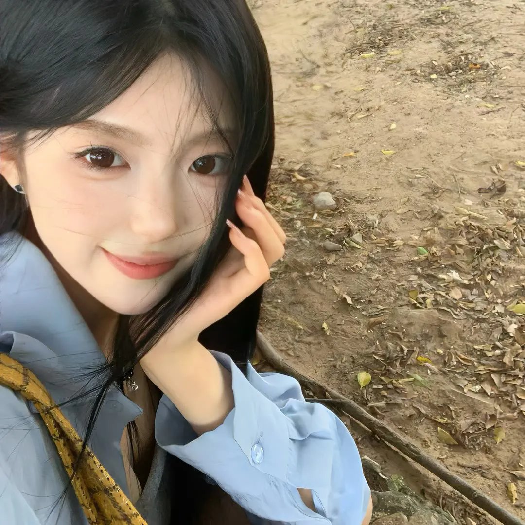 风临樱花开