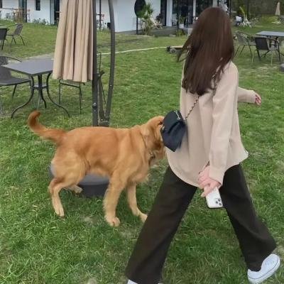 幕后枭雄第二季