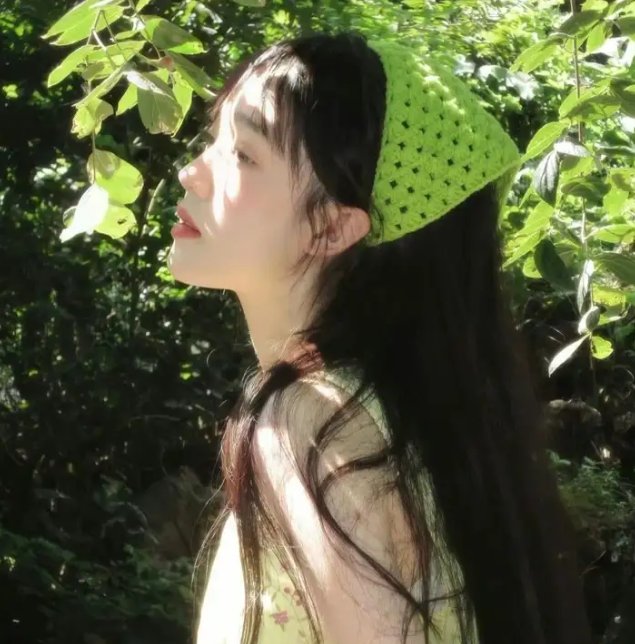 帕洛斯弗迪斯的部落